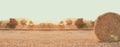 Haystack on the field. Sunset time. Harvest season. Long banner photo. Header format.