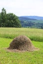 Haystack on the grass field and rural landscape