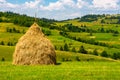 Haystack on the grassy field Royalty Free Stock Photo