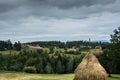 Haystack on the green field.