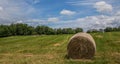 Haystack on the green grass