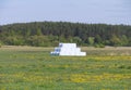 Haystack in green summer field. Straw wrapped in white plastic rolls Royalty Free Stock Photo