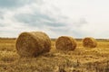 Haystack harvest agriculture field landscape. Agriculture field haystack view. Haystack field panorama