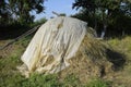 Haystack. A haystack of grass hay. Hay making.