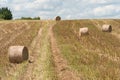 A haystack left in a field after harvesting grain crops. Harvesting straw for animal feed. End of the harvest season. Round bales Royalty Free Stock Photo