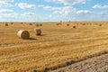 A haystack left in a field after harvesting grain crops. Harvesting straw for animal feed. End of the harvest season. Round bales Royalty Free Stock Photo