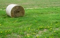 Haystack lying on green grass Royalty Free Stock Photo