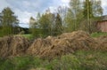 Haystack on meadow in springtime