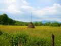 Haystack in the middle of the flower meadow
