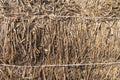 Haystack or natural dry hay straw in grain field in farm. Pattern texture background. stalk in livestock Royalty Free Stock Photo