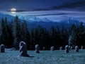 Haystack near forest on a meadow in Tatras at night