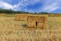 Haystack or rice straw bales in harvested fields