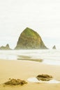 Haystack Rock in the mist Royalty Free Stock Photo