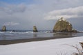 Haystack Rock with snow