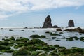 Haystack Rock wildlife refuge tidal pools, Cannon Beach, Pacific Coast, Oregon, USA Royalty Free Stock Photo