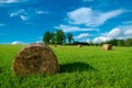 Haystack roll agriculture field landscape. Agriculture mown meadow with blue sky and clouds Royalty Free Stock Photo