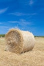 Haystack Roll Bale on the Field Landscape