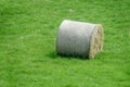 Haystack roll on green grass Royalty Free Stock Photo