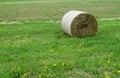 Haystack roll lying on green grass Royalty Free Stock Photo