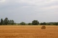 Haystack rolls on agricultural field against dramatic autumn sky with copy space Royalty Free Stock Photo