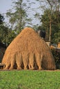 Haystack Royalty Free Stock Photo