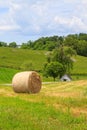 Haystack and a spring house in the country