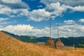 Haystack and spruces on hills - beautiful summer landscape, cloudy sky at bright sunny day. Carpathian mountains. Ukraine. Europe Royalty Free Stock Photo