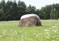 Haystack Royalty Free Stock Photo