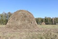 Haystack standing on a slanted field