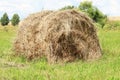 Haystack or straw in a farm field. Mowed hay from dry grass in a haystack on a farm. Hay for animal feed