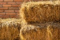 Haystack or straw. Mowed dry grass (hay) in a stack against a brick wall Royalty Free Stock Photo
