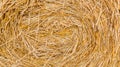 haystack straw prepared for farm. Stack dry hay. Hay texture. Hay bale is stacked in large stack. rural autumn with hay Royalty Free Stock Photo