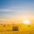 haystack among summer wheat field at the sunset Royalty Free Stock Photo