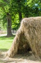 Haystack on sunny summer day Royalty Free Stock Photo
