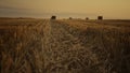 Haystack wheat field landscape at golden autumn sunset. Walking farmer view.
