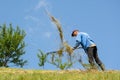 Haystack workers on traditional farming