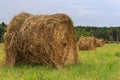 Haystacks