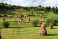 Haystacks Royalty Free Stock Photo