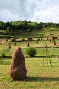 Haystacks Royalty Free Stock Photo