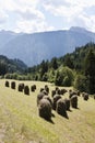 Haystacks along Pustertaler Hohenstrasse, Austria Royalty Free Stock Photo