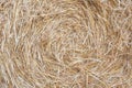 Haystacks close up. The texture of the straw