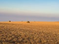 Haystacks in the distance in a golden field under a blue sky. Countryside Caucasian area. Royalty Free Stock Photo