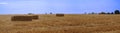 Haystacks in a field after mowing wheat, panoramic landscape field with straw at the end of summer