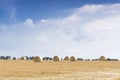 Haystacks on the field Royalty Free Stock Photo