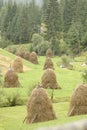 Haystacks in field Royalty Free Stock Photo