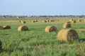 Haystacks in the field