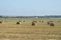 Haystacks in the field