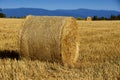 Haystacks in the fields Royalty Free Stock Photo