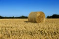 Haystacks in the fields Royalty Free Stock Photo