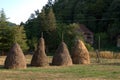 Haystacks fields farm house Royalty Free Stock Photo